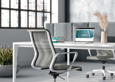 Chaises de bureau Quadrifoglio Dinamica 13