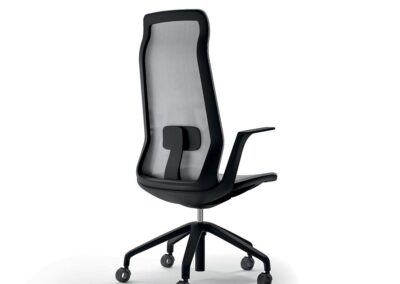 Chaises de bureau Quadrifoglio Ode 03