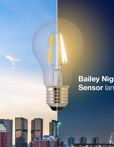 Luminaire Bailey Night Vision