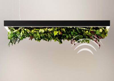 Luminaire OLEV Meeting Silence Leaf