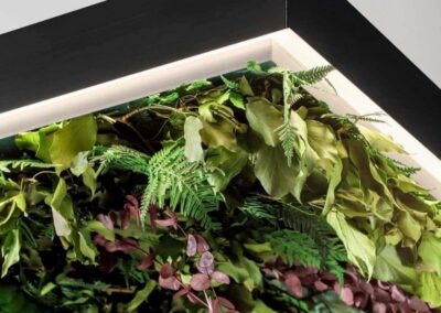 Luminaires OLEV améliorer le confort auditif